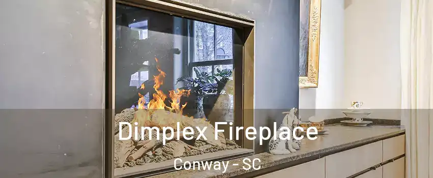  Dimplex Fireplace Conway - SC